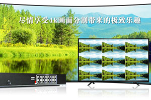 ATERһ�wʽ4K����ָ���AGS-P-100-4K�u�y